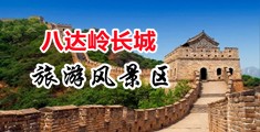 免费大鸡巴三级中国北京-八达岭长城旅游风景区